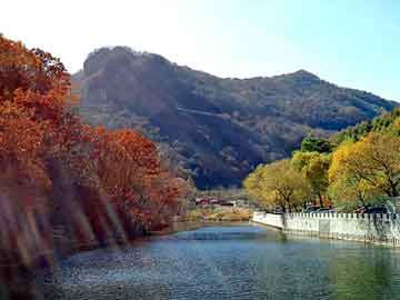 新澳天天开奖资料大全旅游团，电动车库门配件